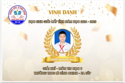 VINH DANH HỌC SINH XUẤT SẮC TRONG KỲ THI HỌC SINH GIỎI CẤP TỈNH, NĂM HỌC 2024 – 2025